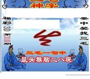 25310期: 三毛3D精品图谜