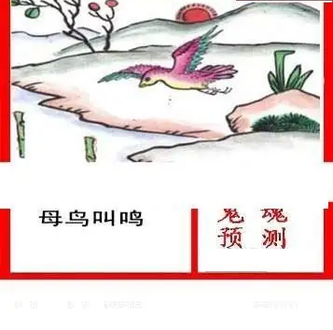 26004期: 白老3D杀码图版