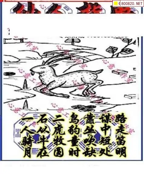 25164期: 三毛3D精品图谜