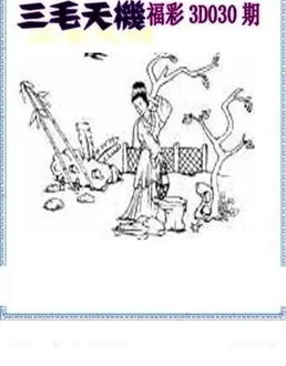 26030期: 三毛3D精品图谜