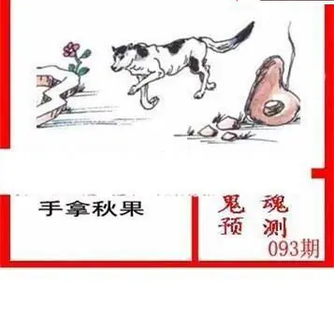 26093期: 白老3D杀码图版