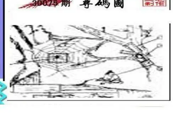 26075期: 三毛3D精品图谜