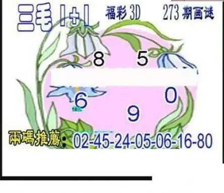 25273期: 三毛3D精品图谜