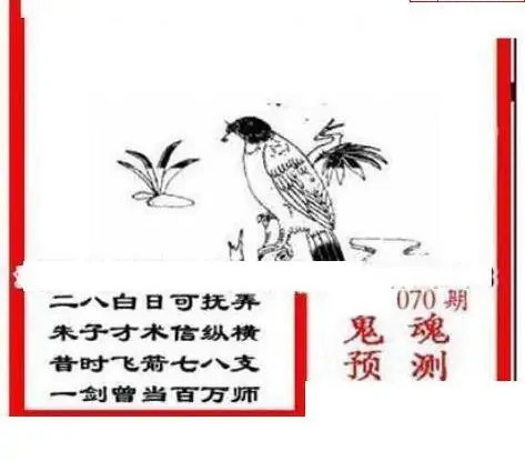 25070期: 三毛3D精品图谜