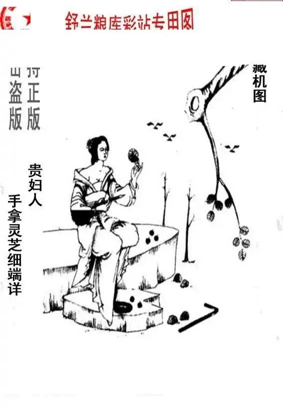 25071期: 老村长福彩3D天天图谜