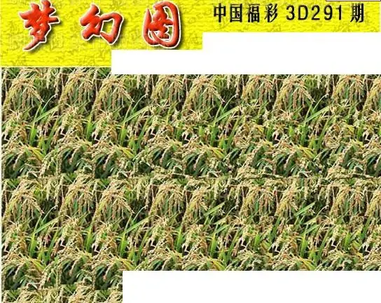 25291期: 3D蝴蝶世家蝴蝶彩图