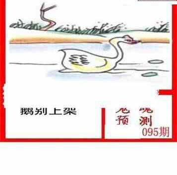 24095期: 白老3D杀码图版