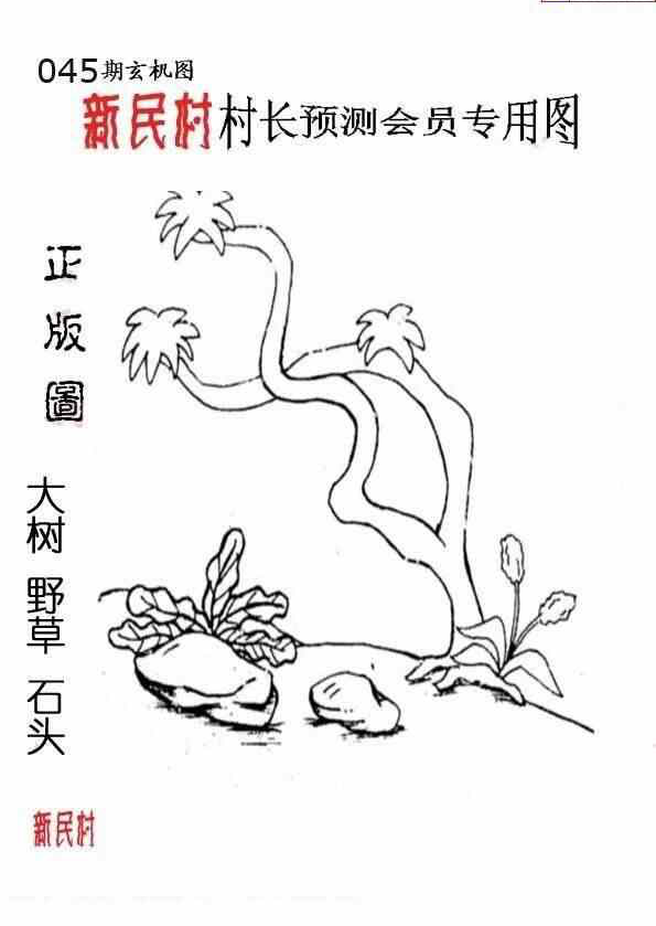 25045期: 老村长福彩3D天天图谜