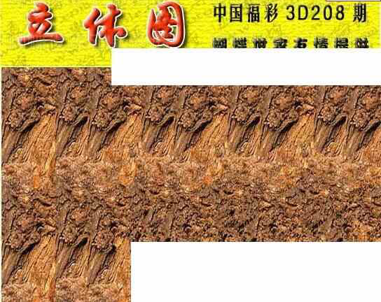 24208��: 3D�������Һ�����ͼ