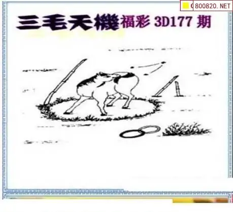 25177期: 三毛3D精品图谜