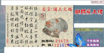 26016期: 3D蝴蝶世家蝴蝶彩图