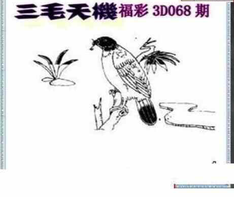 24068期: 三毛3D精品图谜