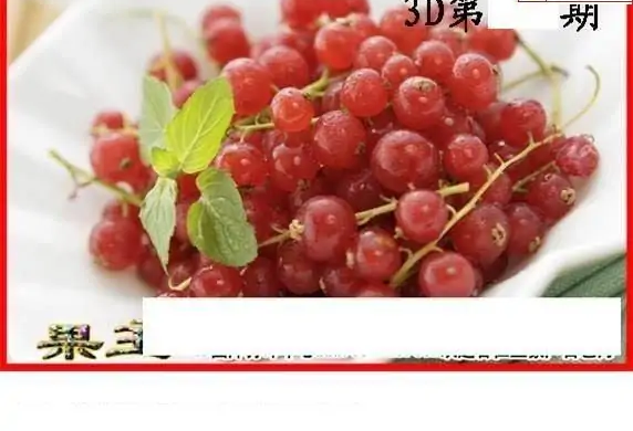 25064期: 白老3D杀码图版