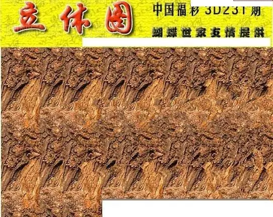 25231期: 3D蝴蝶世家蝴蝶彩图