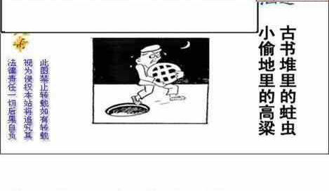 24258期: 白老3D杀码图版