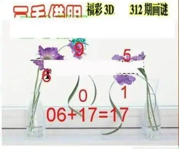 25312期: 三毛3D精品图谜