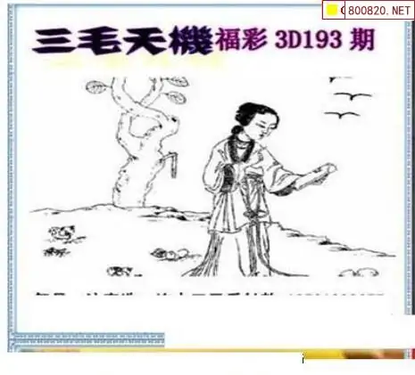 25193期: 三毛3D精品图谜