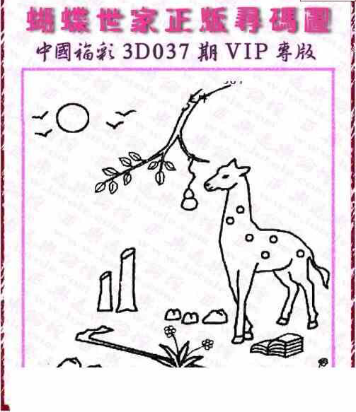 25037期: 3D蝴蝶世家蝴蝶彩图