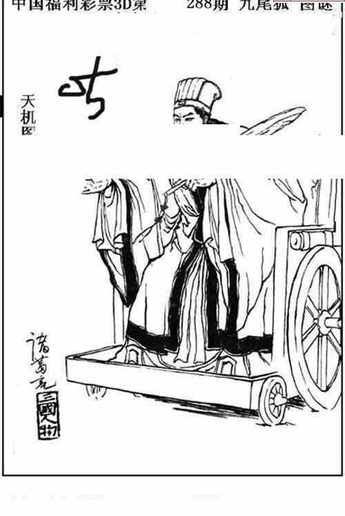 24288期: 三毛3D精品图谜