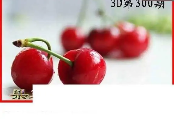 25300期: 白老3D杀码图版