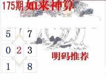 24175期: 白老3D杀码图版