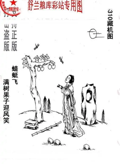 25310期: 老村长福彩3D天天图谜