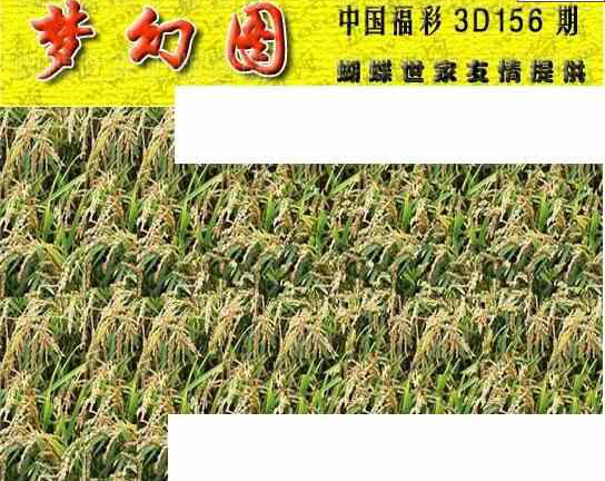 24156期: 3D蝴蝶世家蝴蝶彩图