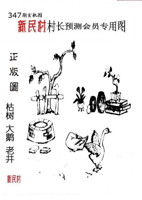 24347期: 老村长福彩3D天天图谜