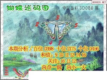 26086期: 3D蝴蝶世家蝴蝶彩图