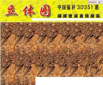 25351期: 3D蝴蝶世家蝴蝶彩图