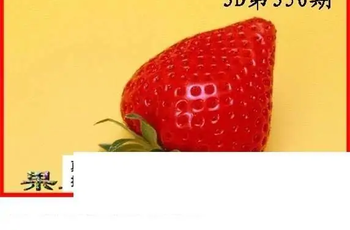 25350期: 白老3D杀码图版