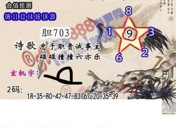 25341期: 白老3D杀码图版