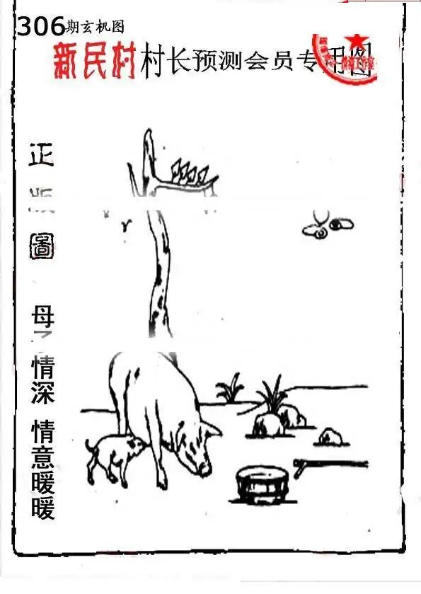 25306期: 老村长福彩3D天天图谜