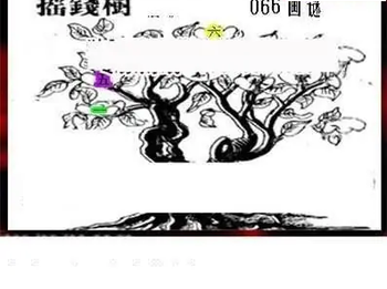 26066期: 三毛3D精品图谜