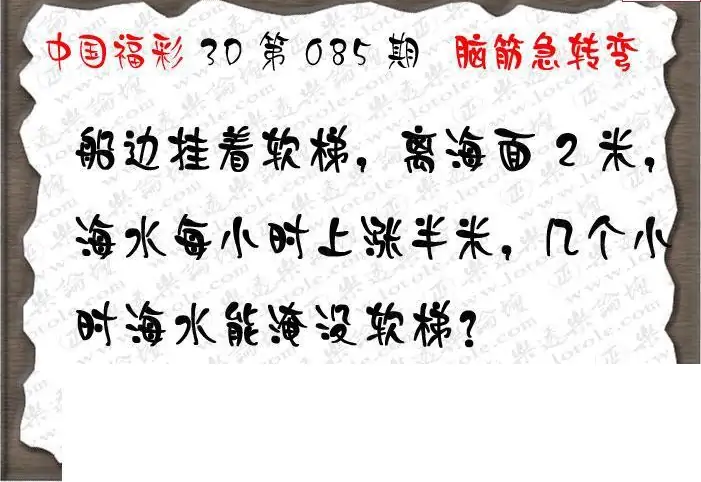 25085期: 3D蝴蝶世家蝴蝶彩图