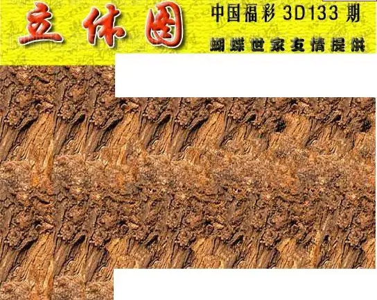 25133��: 3D�������Һ�����ͼ