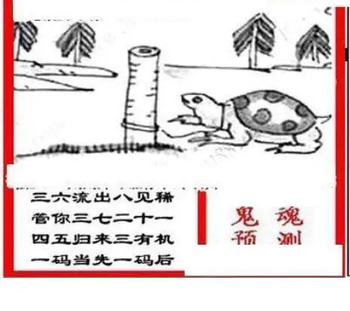 25345期: 三毛3D精品图谜