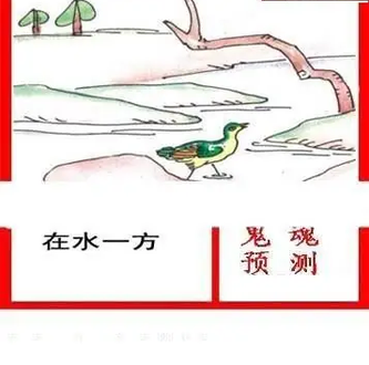 26021期: 白老3D杀码图版