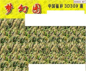 25309期: 3D蝴蝶世家蝴蝶彩图