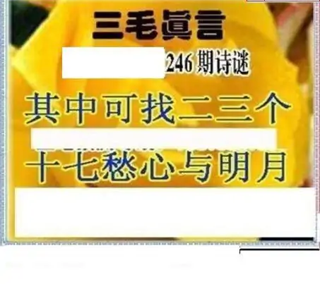 25246期: 三毛3D精品图谜