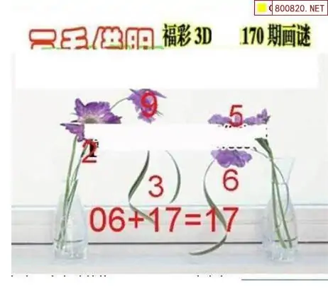 25170期: 三毛3D精品图谜