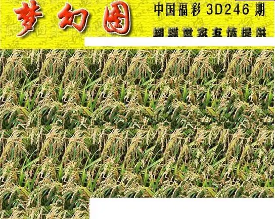 25246期: 3D蝴蝶世家蝴蝶彩图