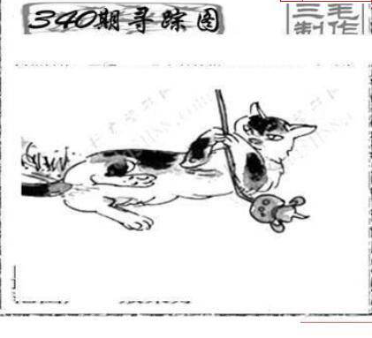 24340期: 三毛3D精品图谜