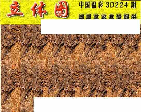 24224期: 3D蝴蝶世家蝴蝶彩图