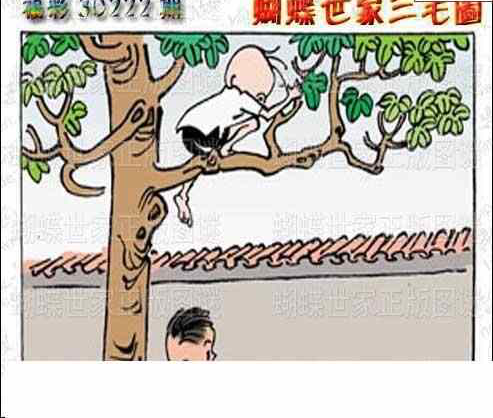 24222期: 3D蝴蝶世家蝴蝶彩图