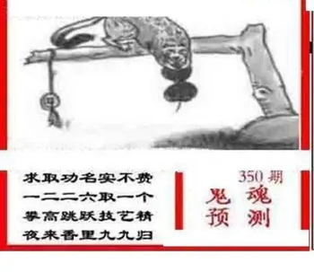 25350期: 三毛3D精品图谜