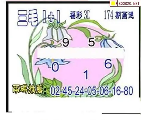 25174期: 三毛3D精品图谜