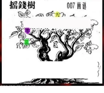 26007期: 三毛3D精品图谜