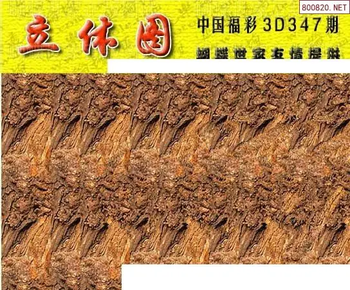 25347期: 3D蝴蝶世家蝴蝶彩图