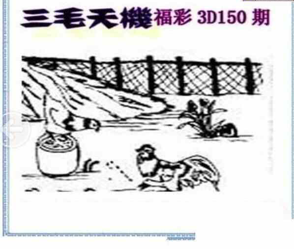 24150期: 三毛3D精品图谜